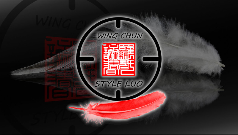 Wing Chun Luo meeting profile picture by default